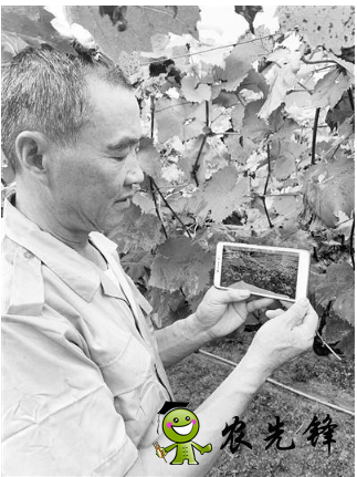 無錫市先行先試加快發(fā)展智慧農(nóng)業(yè),已建設(shè)農(nóng)業(yè)物聯(lián)網(wǎng)應(yīng)用點(diǎn)近400個(gè)