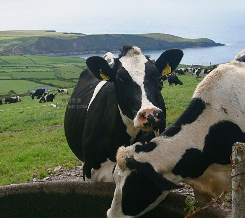 物聯(lián)網應用于農業(yè)中的好處是什么