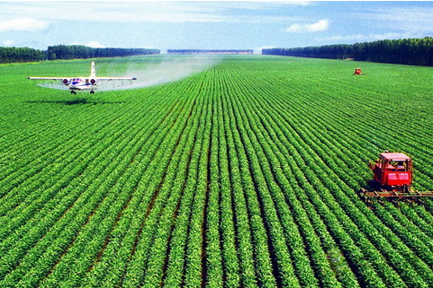 農(nóng)業(yè)物聯(lián)網(wǎng)在藍莓種植的領(lǐng)域的第一步