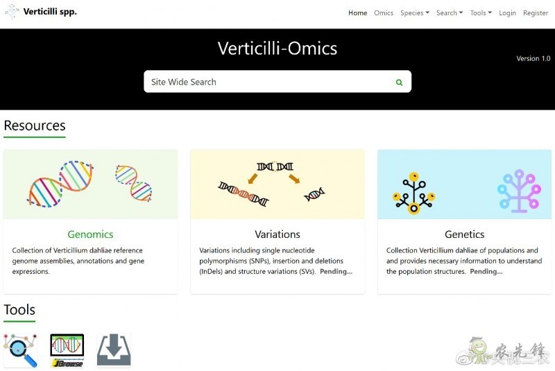 全球首個作物黃萎病菌資源和基因組數(shù)據(jù)庫正式上線