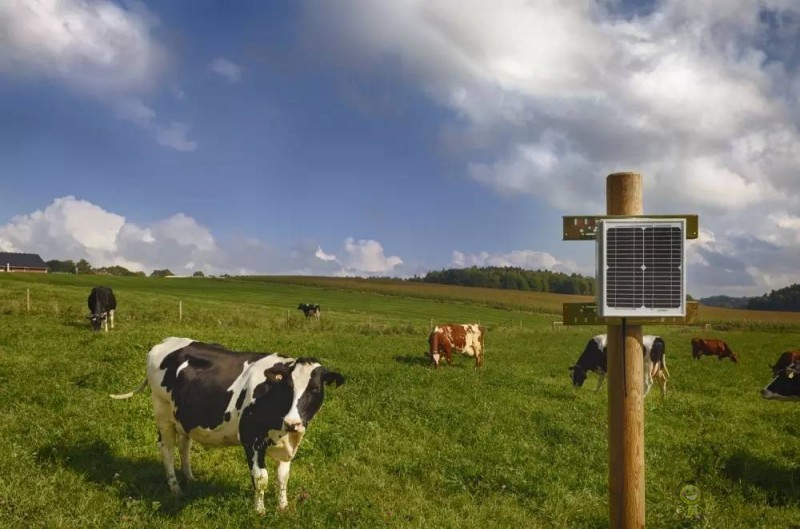 美國(guó)農(nóng)業(yè)