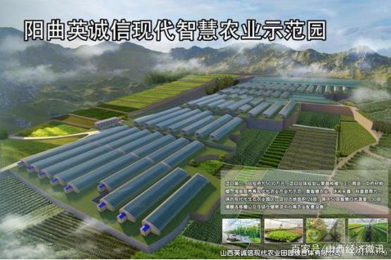 陽曲縣精品農業(yè)是如何打造的？