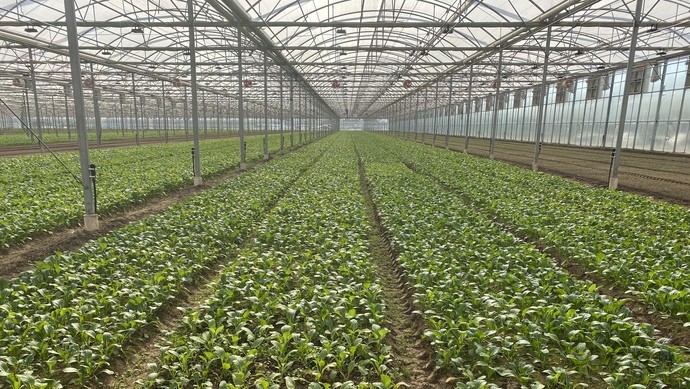 現(xiàn)代農(nóng)業(yè)