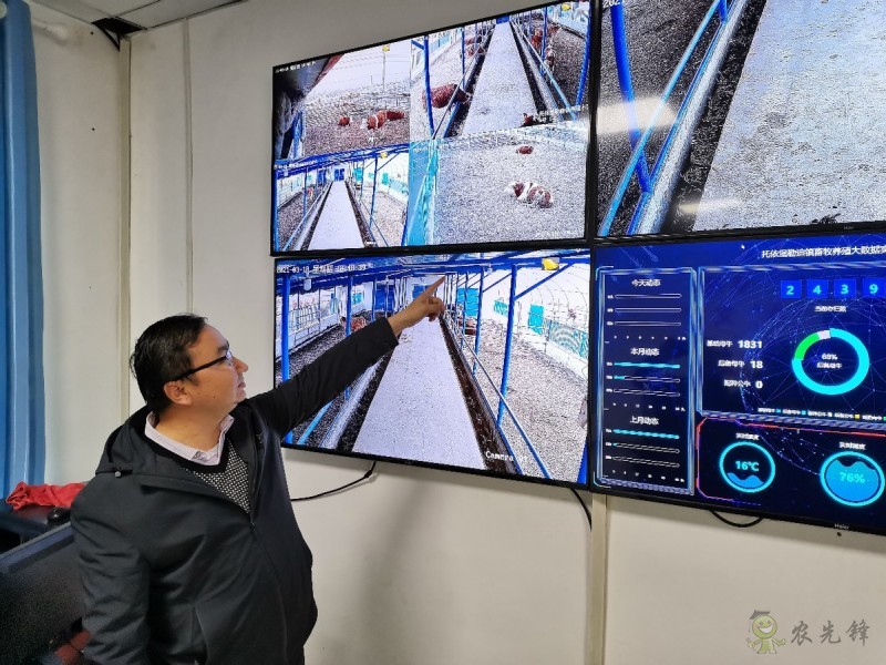 現(xiàn)代農業(yè)