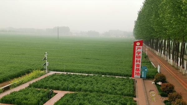 河南尉氏縣：5G+智慧農業 農田里有了這些&ldquo;黑科技&rdquo;