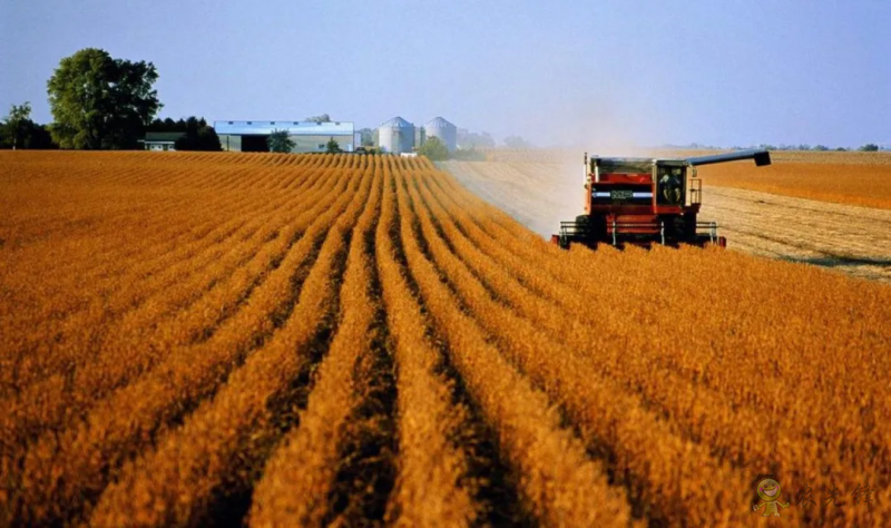 農(nóng)業(yè)農(nóng)村部:共建60個(gè)全國農(nóng)業(yè)科技現(xiàn)代化先行縣