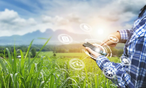 澳大利亞農業進入4.0時代，對中國農業有何啟示?