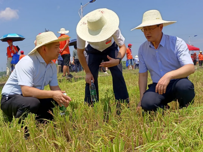 全國專業(yè)農(nóng)機手培訓行動在湖南婁底啟動