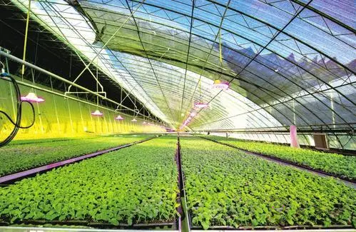 【重磅研究】中國數(shù)字農(nóng)業(yè)的發(fā)展概況