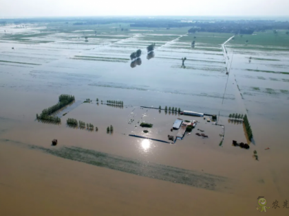 1450萬(wàn)畝農(nóng)作物受災(zāi)!550萬(wàn)畝絕收!對(duì)我國(guó)糧食市場(chǎng)影響有多大?