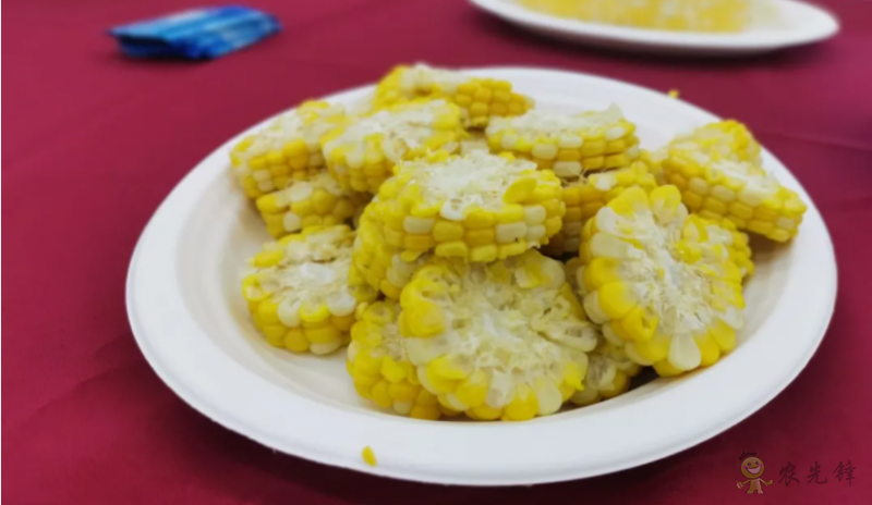 北京：發(fā)揮種業(yè)創(chuàng)新優(yōu)勢做強鮮食玉米產(chǎn)業(yè)