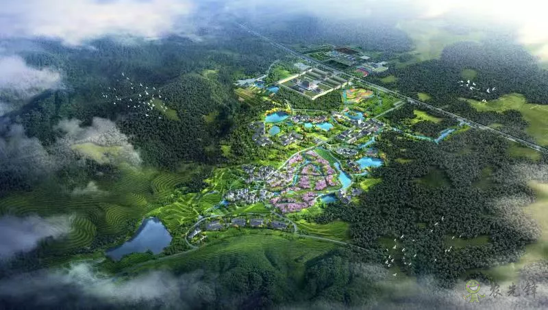 無錫市濱湖區(qū)：統籌謀劃 精準發(fā)力 加快推進農業(yè)農村重大項目建設