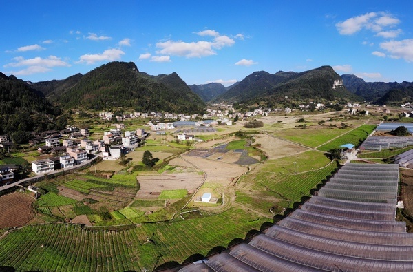 習水這五年:現代農業助推鄉村振興