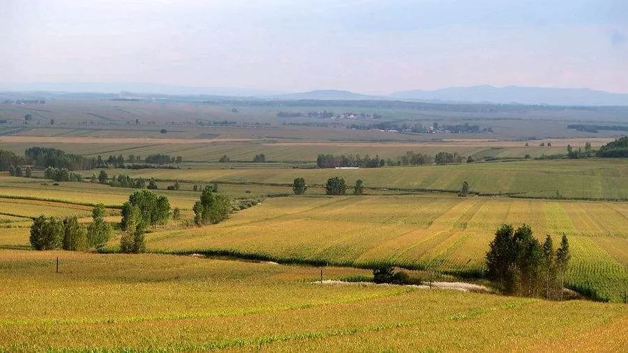 中國(guó)農(nóng)業(yè)的智慧升級(jí)路：未來小農(nóng)戶將成高收入群體