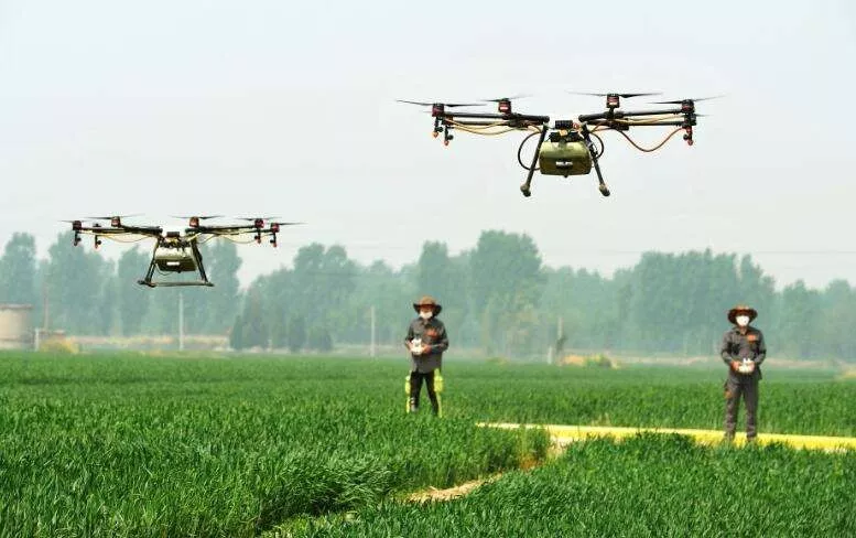 中國(guó)農(nóng)業(yè)的智慧升級(jí)路：未來小農(nóng)戶將成高收入群體