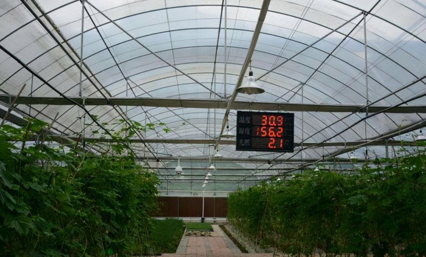 農(nóng)業(yè)物聯(lián)網(wǎng)是什么？對(duì)農(nóng)業(yè)的好處到底在哪里？