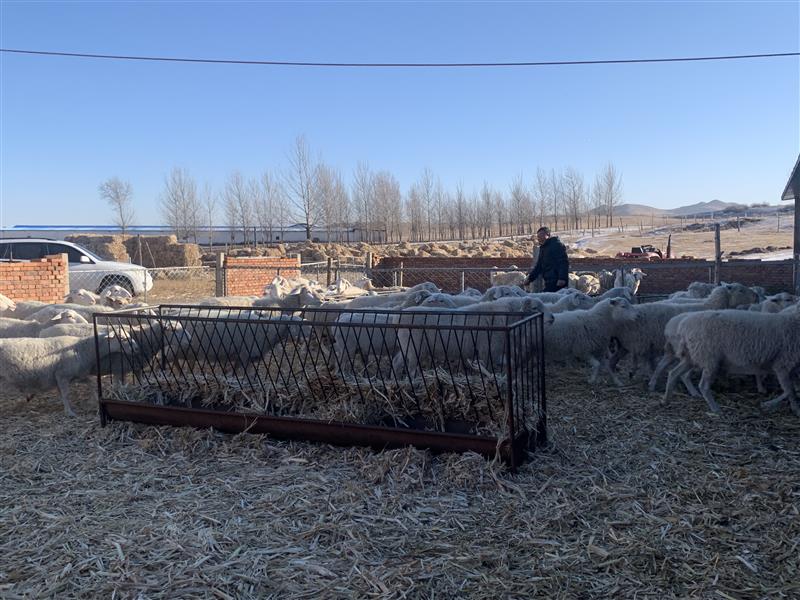 &ldquo;抱團&rdquo;謀發展 合作社&ldquo;錢&rdquo;途無量