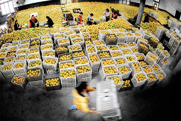 大地量子 &ldquo;數(shù)字地球PaaS平臺&rdquo; 被評為2021數(shù)字鄉(xiāng)村大腦十強