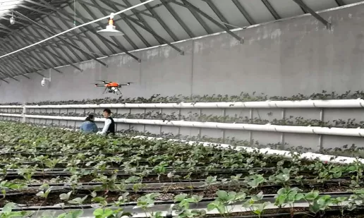 海淀延慶攜手，打造農業(yè)跨區(qū)域結對協(xié)作示范標桿