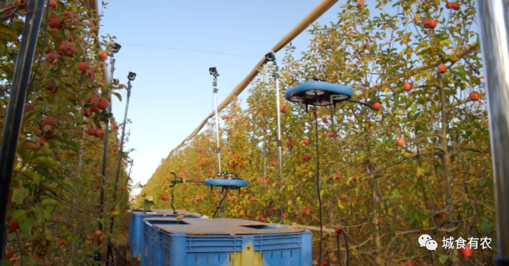 會摘蘋果的飛行機器人,從概念圖到商業化Tevel只用了4年