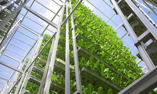 新加坡農業:5大創新玩法,中國農業值得借鑒