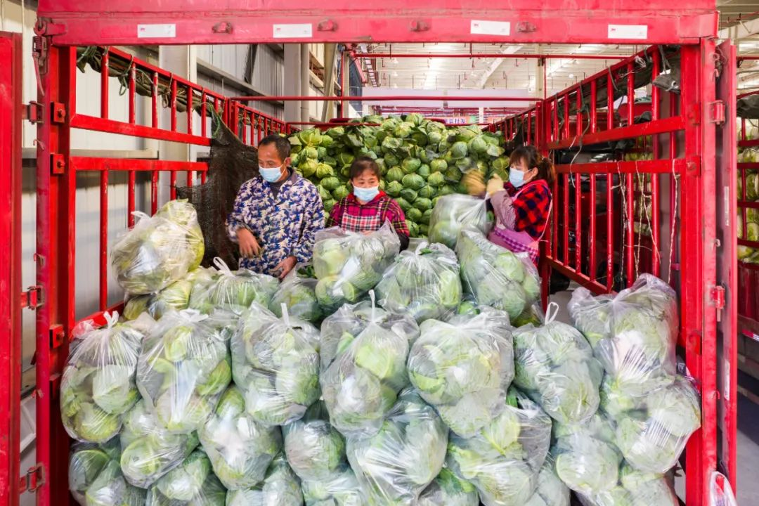 解讀《&ldquo;十四五&rdquo;全國農產品產地市場體系發展規劃》