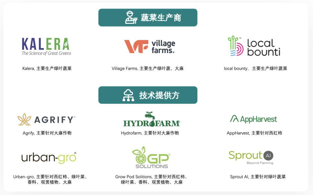 垂直農(nóng)業(yè)，一個(gè)可持續(xù)的未來(lái)？