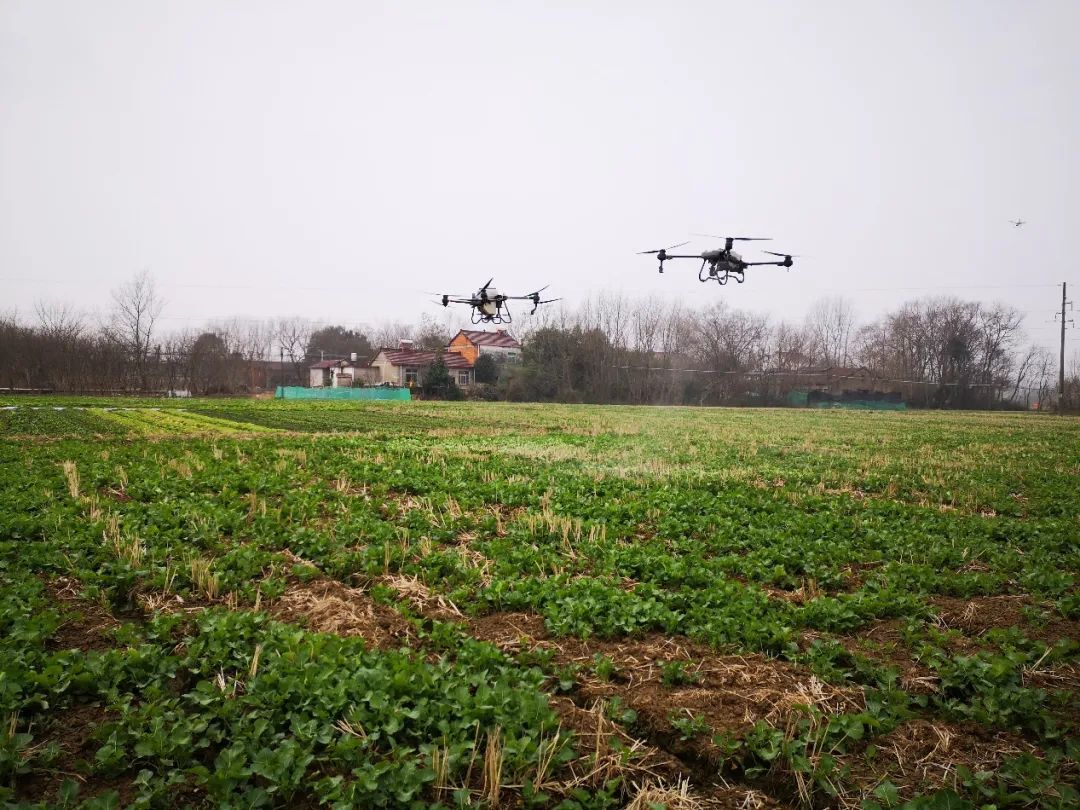 全國落地200處示范田 大疆精準農(nóng)業(yè)推廣活動拉開帷幕