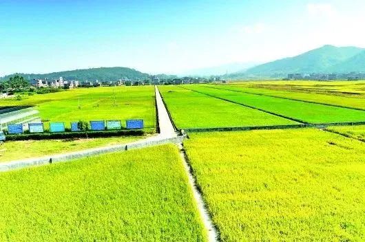 《高標準農(nóng)田建設通則》國家標準發(fā)布