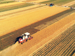 李天祥 鐘鈺:高質(zhì)量建設(shè)國家糧食安全產(chǎn)業(yè)帶
