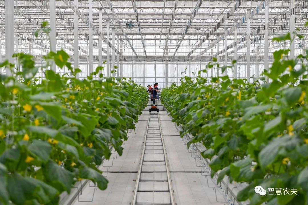 農業部出手，智慧農業將迎來七個方面全面突破！