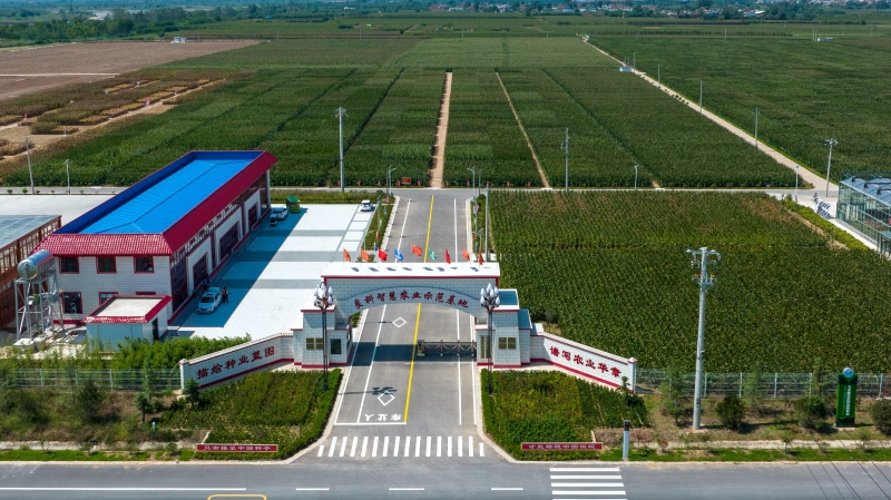 全國種業(yè)基地提升工作推進會在京召開 全國種業(yè)基地提升工作推進會在京召開