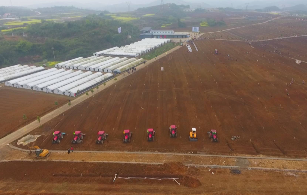 中央一號(hào)文件發(fā)布：強(qiáng)化農(nóng)業(yè)科技和裝備支撐