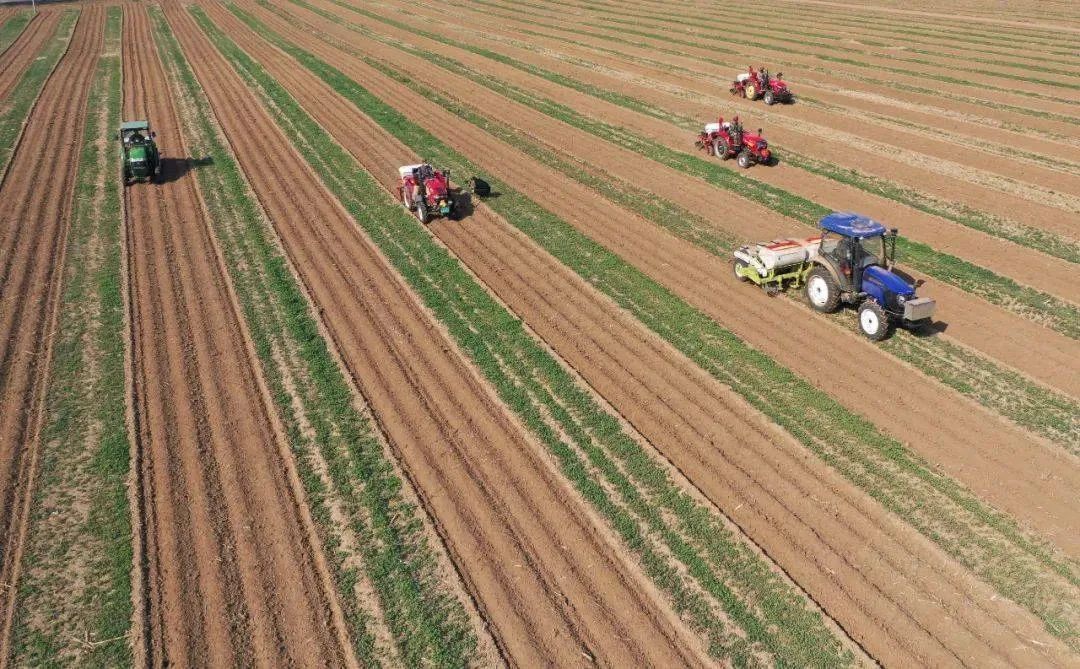 中央一號(hào)文件發(fā)布：強(qiáng)化農(nóng)業(yè)科技和裝備支撐