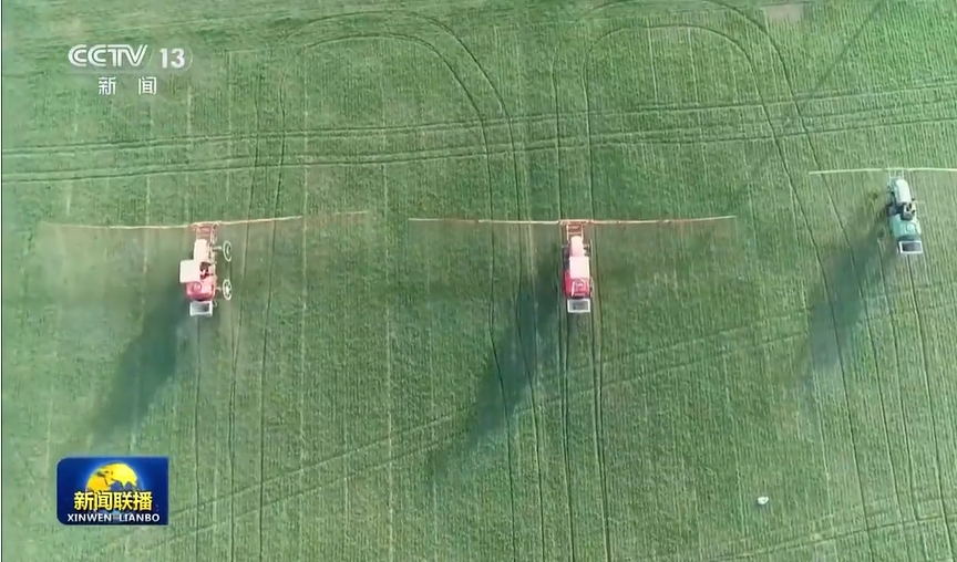 我國確定2024年糧食生產(chǎn)總體目標(biāo)