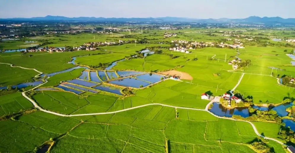 經(jīng)濟(jì)日?qǐng)?bào):金融加快賦能鄉(xiāng)村振興 經(jīng)濟(jì)日?qǐng)?bào):金融加快賦能鄉(xiāng)村振興